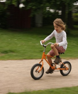 Admannshagen Hoffest Himmelfahrt